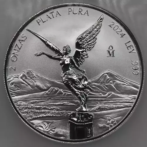 2024Mo Silver (3)