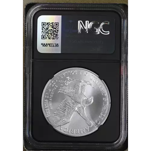 2024(P) Star Privy (3)