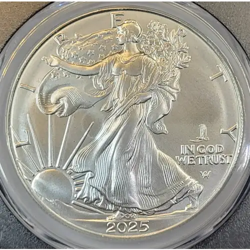 2025-(P) $1 Silver Eagle with Eagle Privy Struck at Philadelphia First Strike (2)