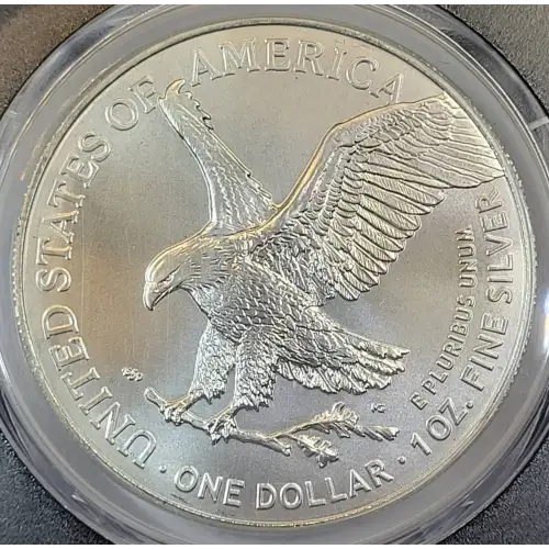 2025-(P) $1 Silver Eagle with Eagle Privy Struck at Philadelphia First Strike (3)
