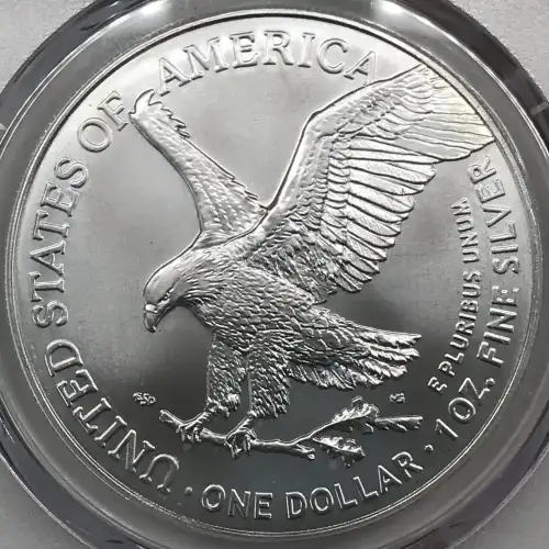 2025-(P) $1 Silver Eagle with Eagle Privy Struck at Philadelphia Ultra Breaks (4)