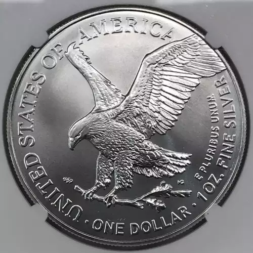 2025(P) First Eagle Privy Release (3)