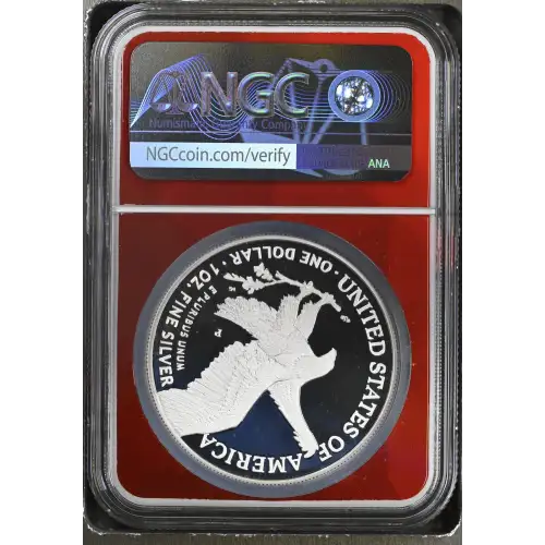 2025 P U.S. Marine Corps 250th Anniversary Privy ULTRA CAMEO (3)