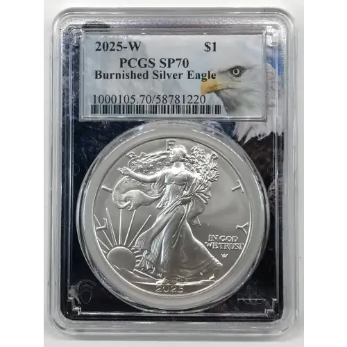2025-W $1 Burnished Silver Eagle Eagle Mountain Picture Frame (2)