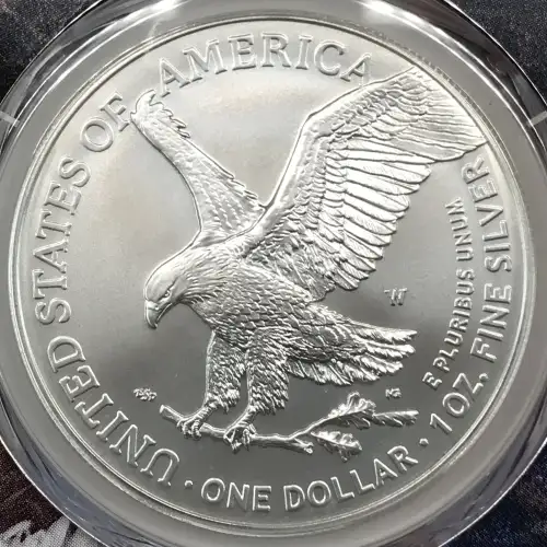 2025-W $1 Burnished Silver Eagle Eagle Mountain Picture Frame (4)