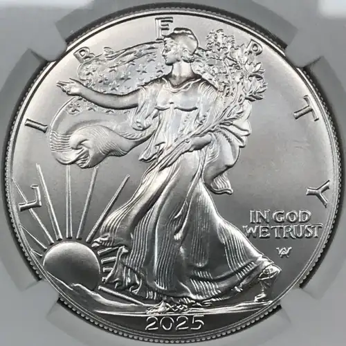 2025 W Early Releases Burnished Silver Eagle (3)