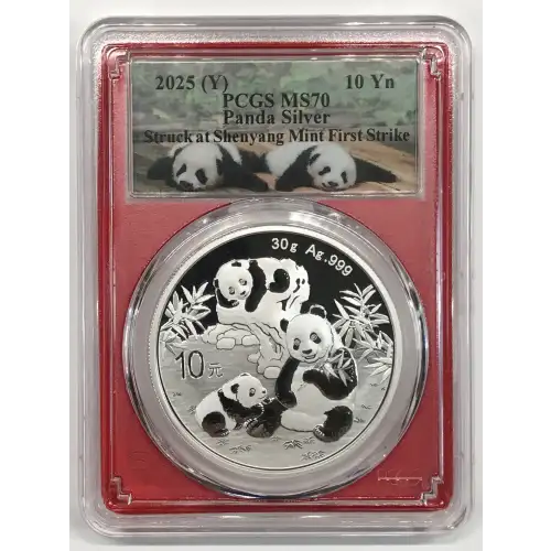 2025 (Y) 10 Yn Panda Silver Struck at Shenyang Mint First Strike (3)