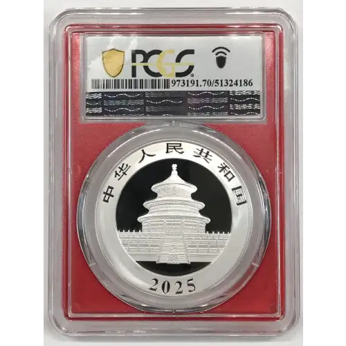 2025 (Y) 10 Yn Panda Silver Struck at Shenyang Mint First Strike (2)