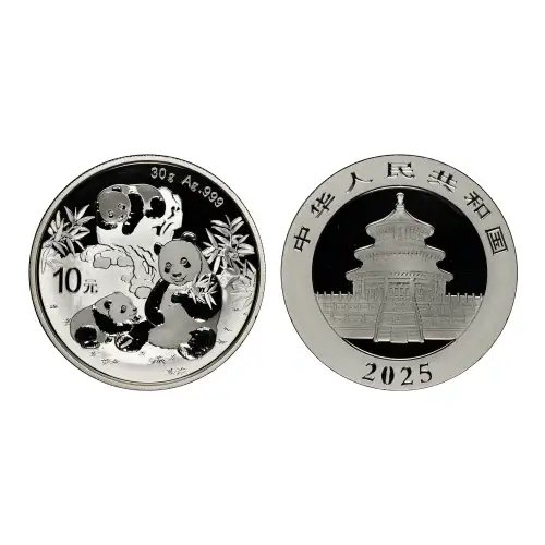 2025 (Y) 10 Yn Panda Silver Struck at Shenyang Mint First Strike (3)