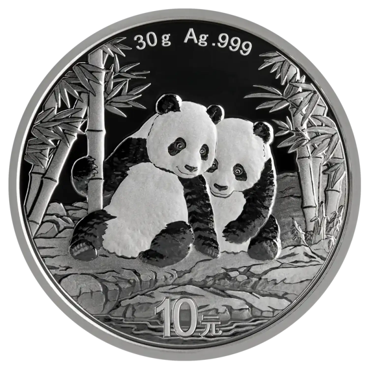 銀　2026 中国　パンダ　30g 2026 30g Chinese Silver Panda - Old Pueblo Coin