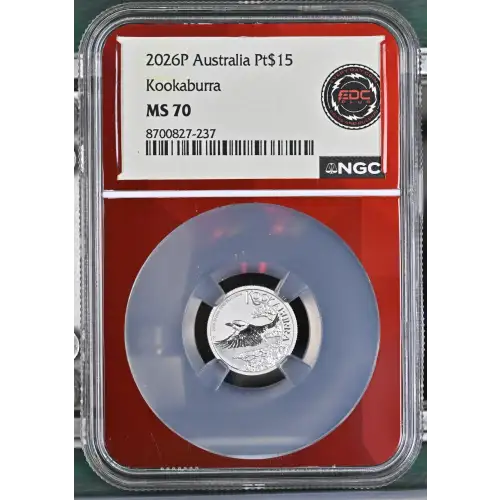 2026P Kookaburra