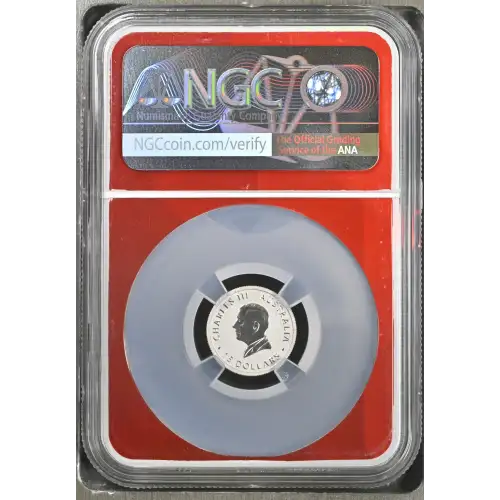 2026P Kookaburra (3)