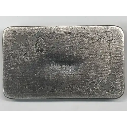5 oz Silver (BAR)