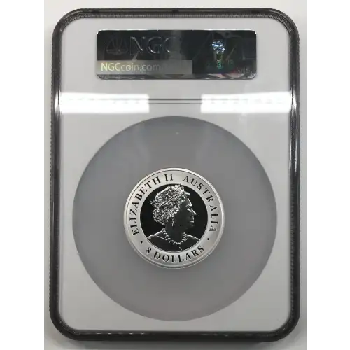 5 oz Silver COIN (4)
