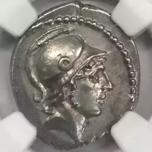 Albinus Bruti f., c.48 BC   (5)