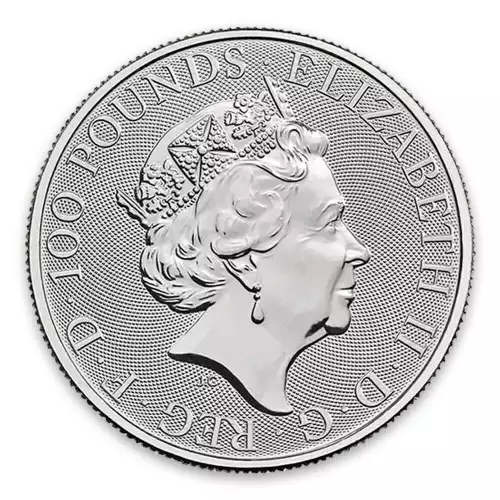 Any Year 1oz British Platinum Britannia Coin (2)