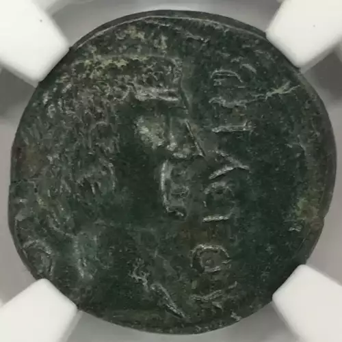 Augustus & Julius Caesar   (6)
