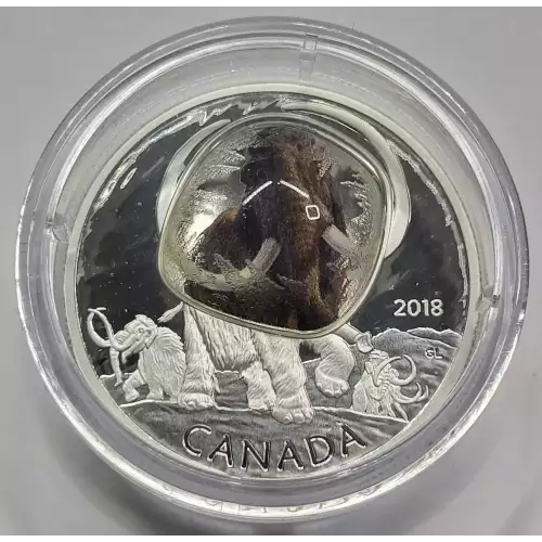 CANADA Silver 20 DOLLARS (1 oz / 31.1 grams) (generic) (3)
