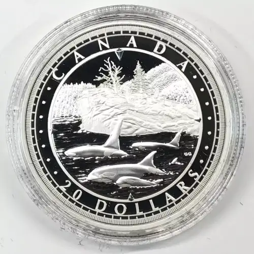 CANADA Silver 20 DOLLARS (1 oz / 31.1 grams) (generic) (2)