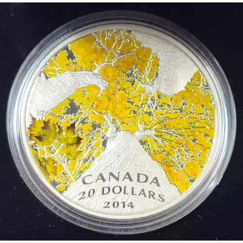 CANADA Silver 20 DOLLARS (1 oz / 31.1 grams) (generic)