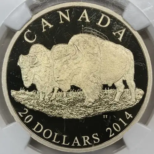CANADA Silver 20 DOLLARS (1 oz / 31.1 grams) (generic) (2)