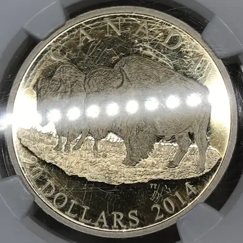 CANADA Silver 20 DOLLARS (1 oz / 31.1 grams) (generic) (5)