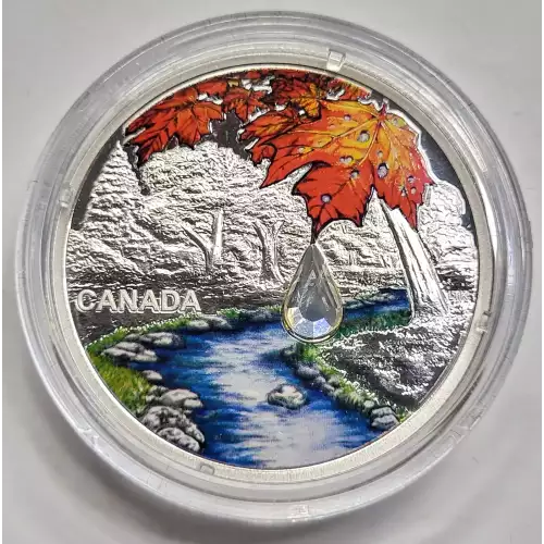 CANADA Silver 20 DOLLARS (2)
