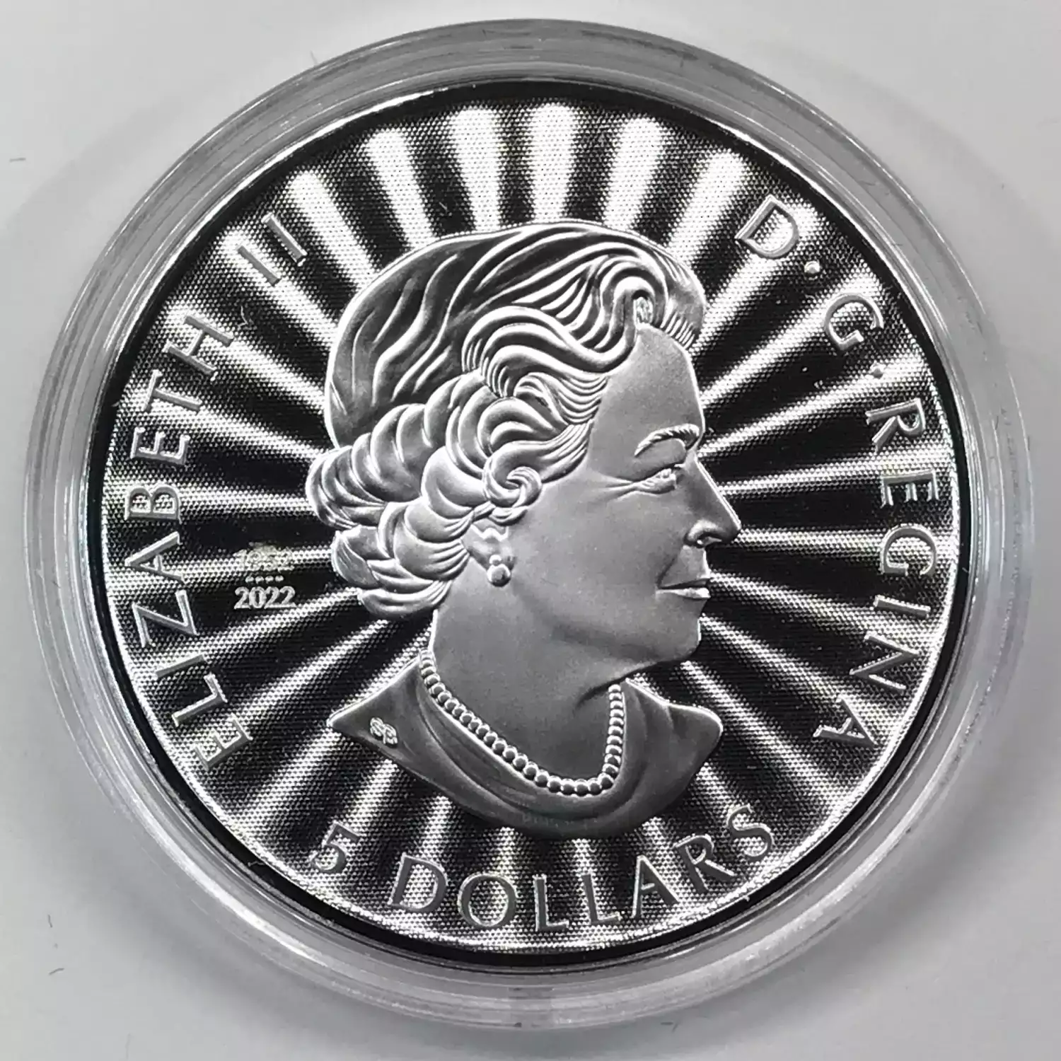 三毛ポコドンチャン 楽天市場】【P最大36倍！12/19 20:00〜】【取付対象】NANKANG ナンカン