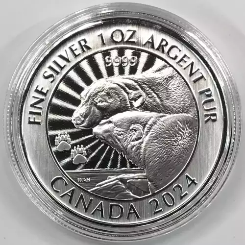 CANADA Silver 5 DOLLARS (1 oz / 31.1 grams) (generic)