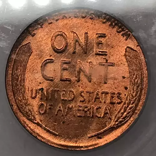 Copper Lincoln Wheat Cent (5)