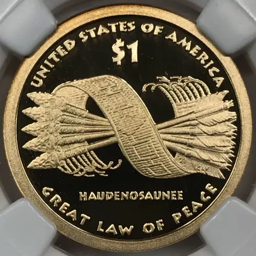 Dollars---Native American 2009-Present -Brass- 1 Dollar