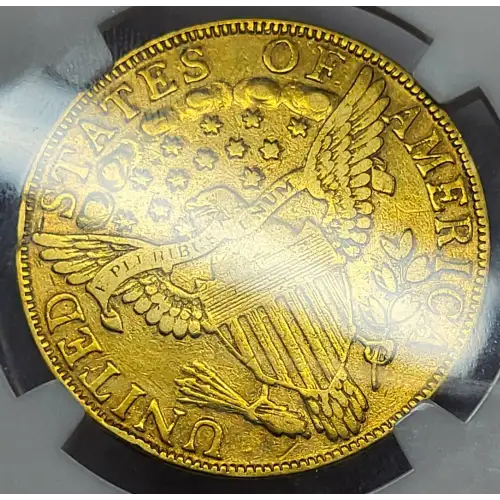 Eagles---Capped Bust to Right 1795-1804 -Gold- 10 Dollar (6)