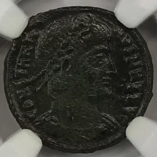 House of Constantine (3)