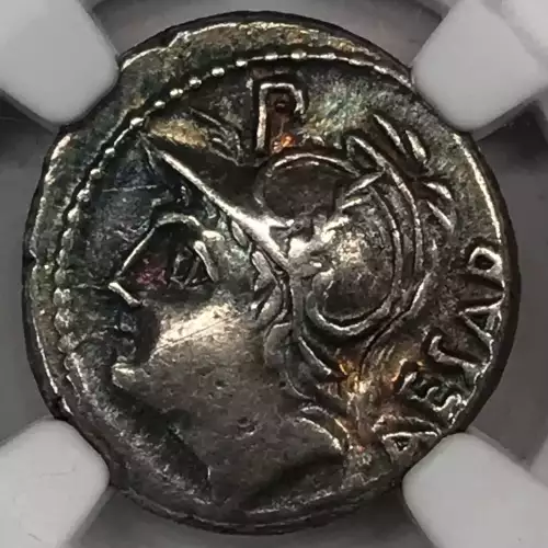 L.Julius L.f. Caesar   (4)
