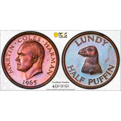 Lundy Bronze 1/2 PUFFIN (2)