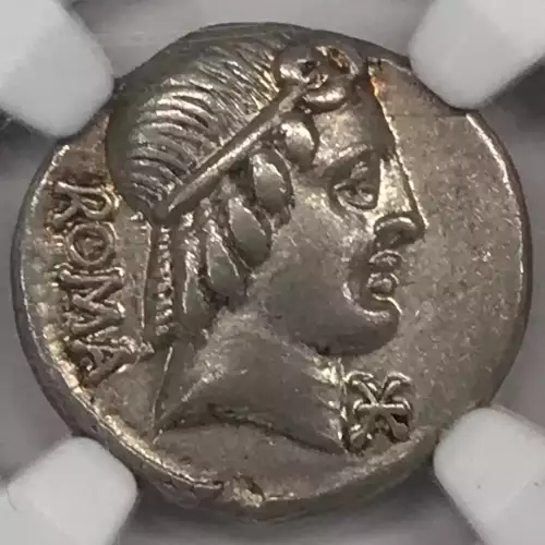 M.Cae. Metellus, c.127 BC (4)