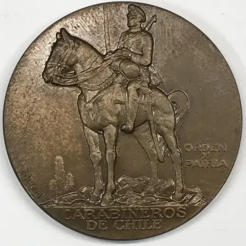 Medal (generic) [country: UNKNOWN][eBay category Exonumia Medals: 3454]