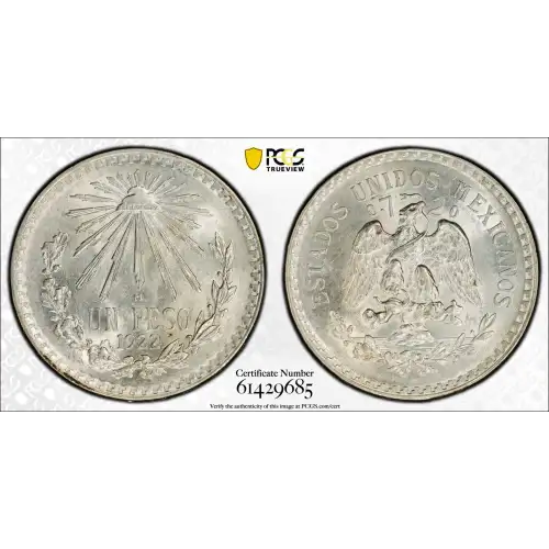 MEXICO Silver PESO (2)