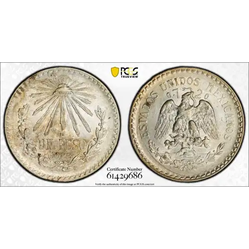 MEXICO Silver PESO (2)