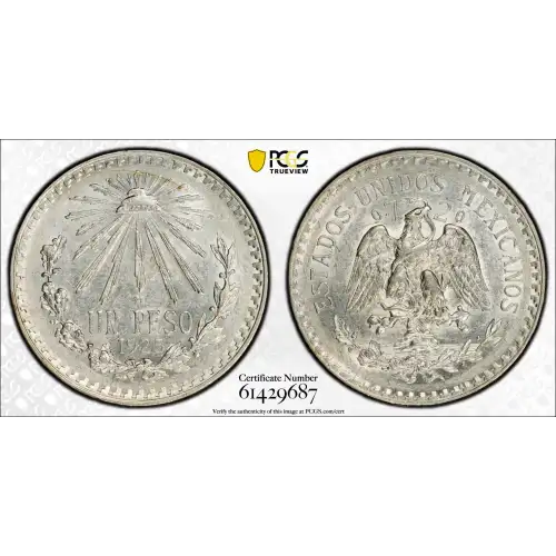 MEXICO Silver PESO (2)