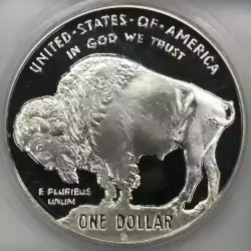 Modern Commemoratives --- American Buffalo Commemorative 2001-Silver- 1 Dollar (3)