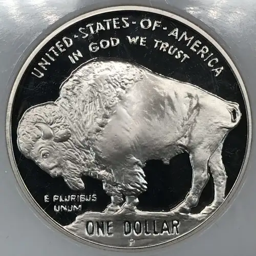Modern Commemoratives --- American Buffalo Commemorative 2001-Silver- 1 Dollar