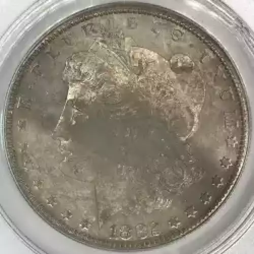 Morgan Silver Dollar (2)