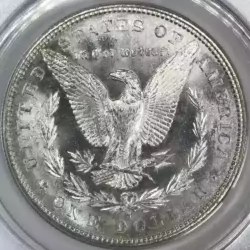 Morgan Silver Dollar (4)