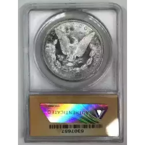 Morgan Silver Dollar (5)