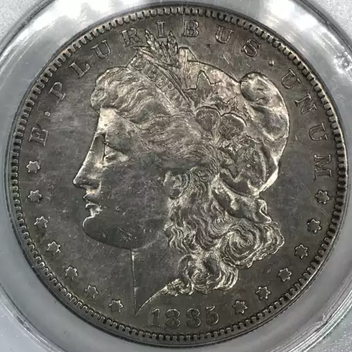 Morgan Silver Dollar