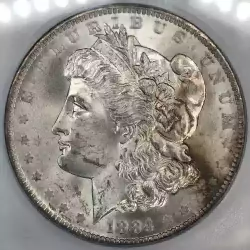 Morgan Silver Dollar