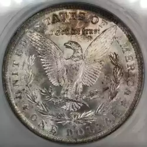 Morgan Silver Dollar