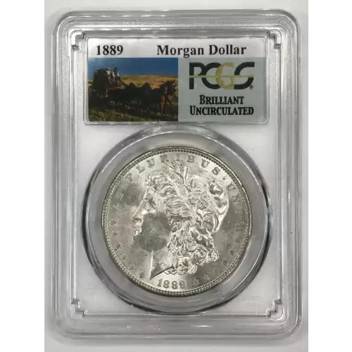 Morgan Silver Dollar