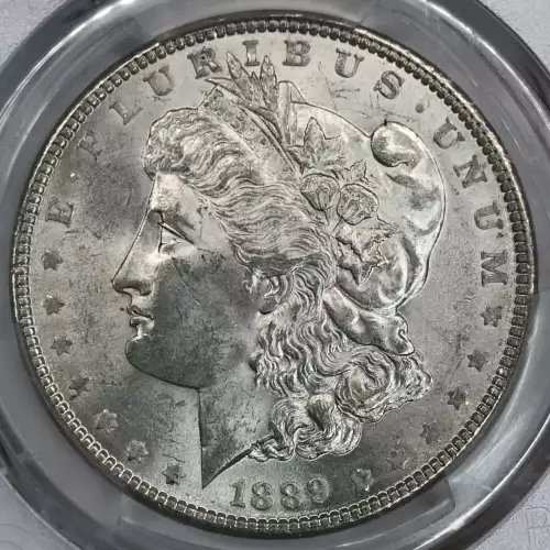 Morgan Silver Dollar